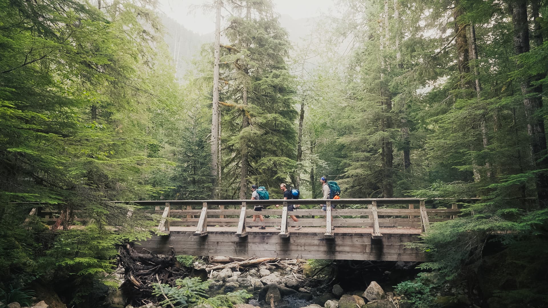 Men crossing a bridge in the forest