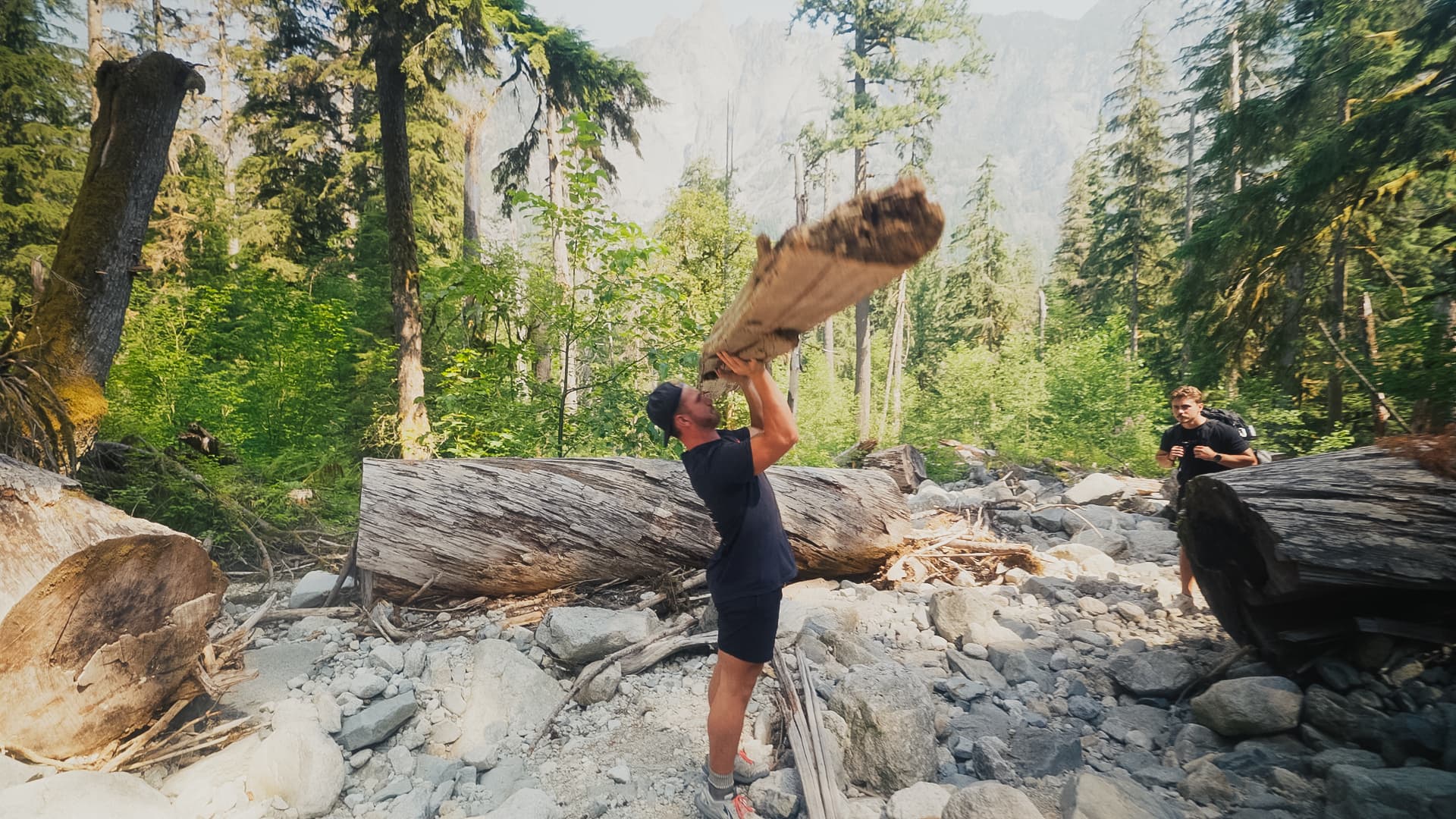 Throwing a log in the wilderness